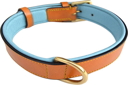 Padded Leather Dog Collar, Tan and Teal, Size Medium, 20" Long X 1" Wide, Neck Size 14.5" to 17.5" Inches