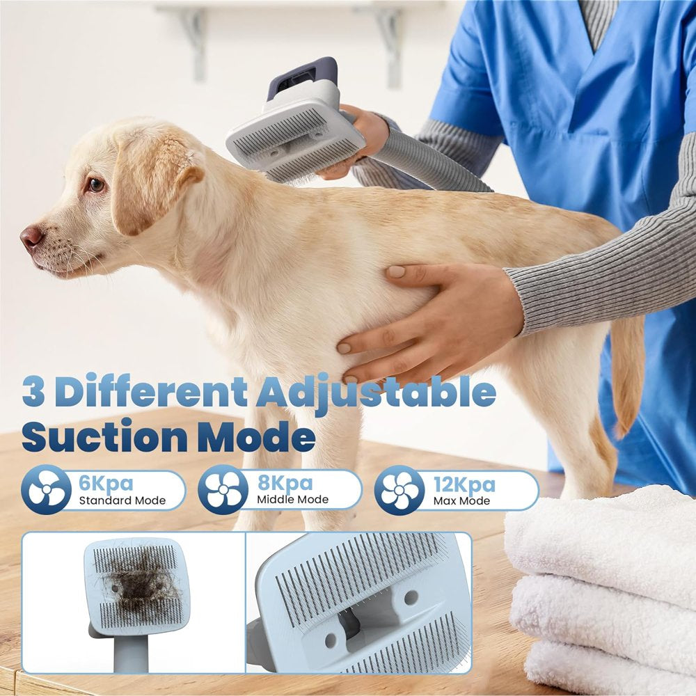 Powerful Suction Pet Grooming Vacuum with 5 Dog Grooming Tools for Pets Vacuum, for Shedding Grooming