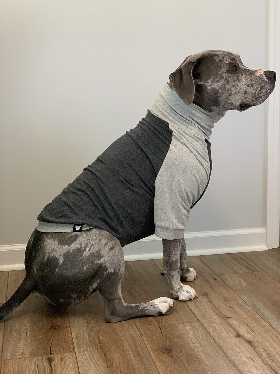 Big Dog/Pullover/Large Dog Shirt/Light Weight Shirt/Color Block Shirt/Summer Shirt (Large)