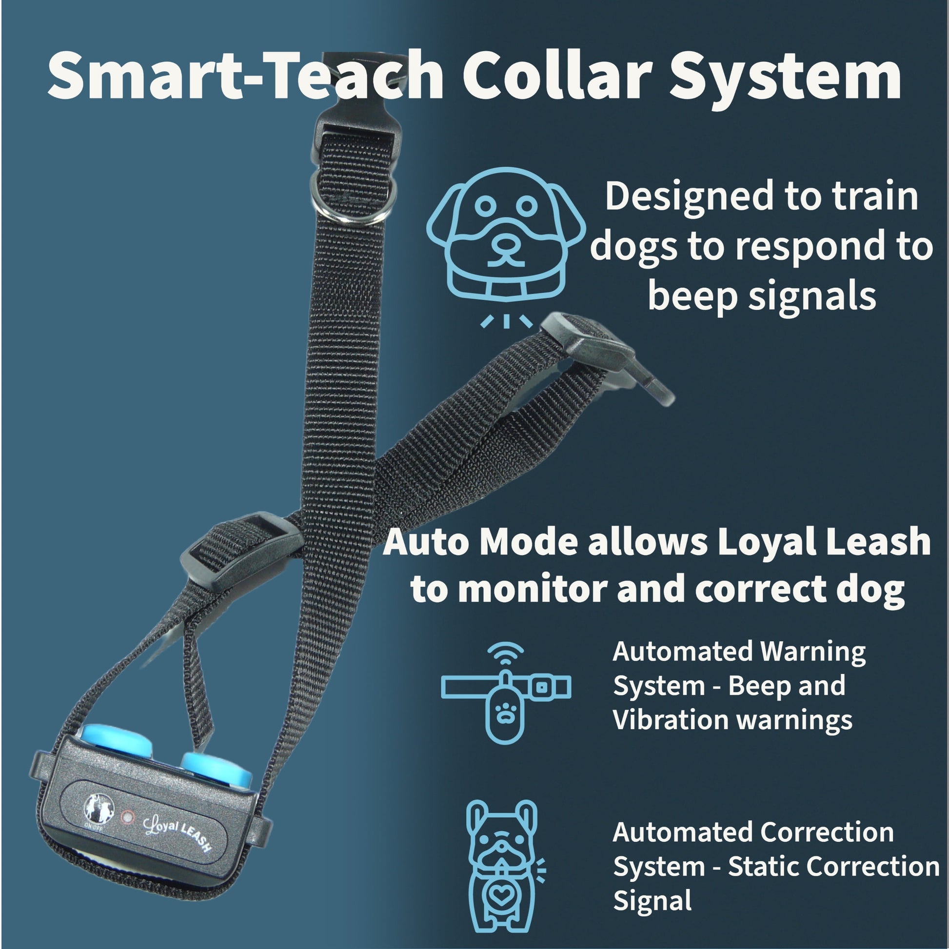 , the World'S First E-Leash for Training Dogs