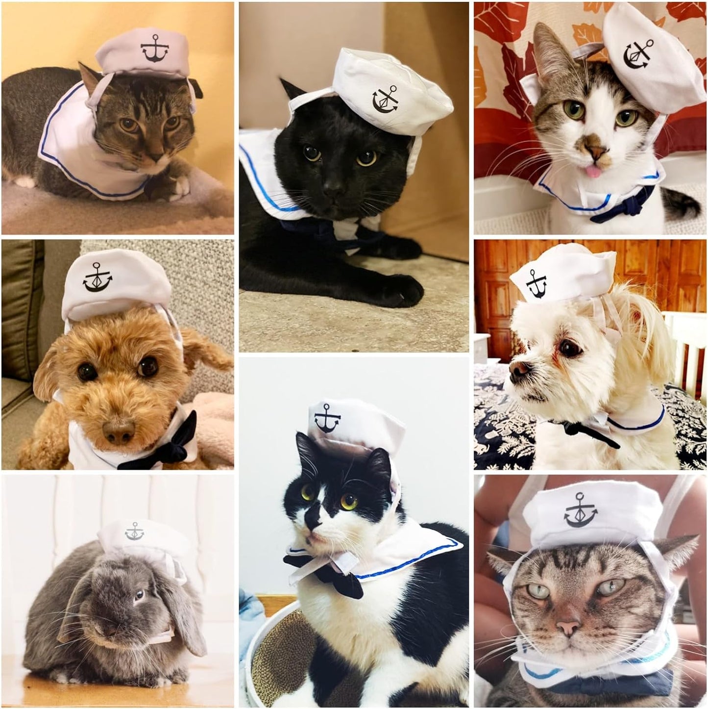 Cat Halloween Costumes Cat Sailor Costume Small Dog Navy Outfit with Tie Adjustable Captain Kitten Halloween Costume