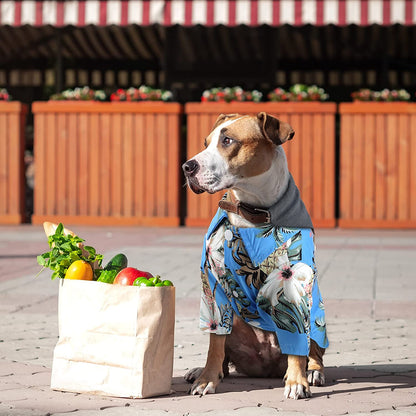 4 Pieces Pet Summer T-Shirts Hawaii Style Floral Dog Shirt Hawaiian Printed Pet T-Shirts Breathable Cool Clothes Beach Seaside Puppy Shirt Sweatshirt for Small Puppy(Cute Style, X-Large)