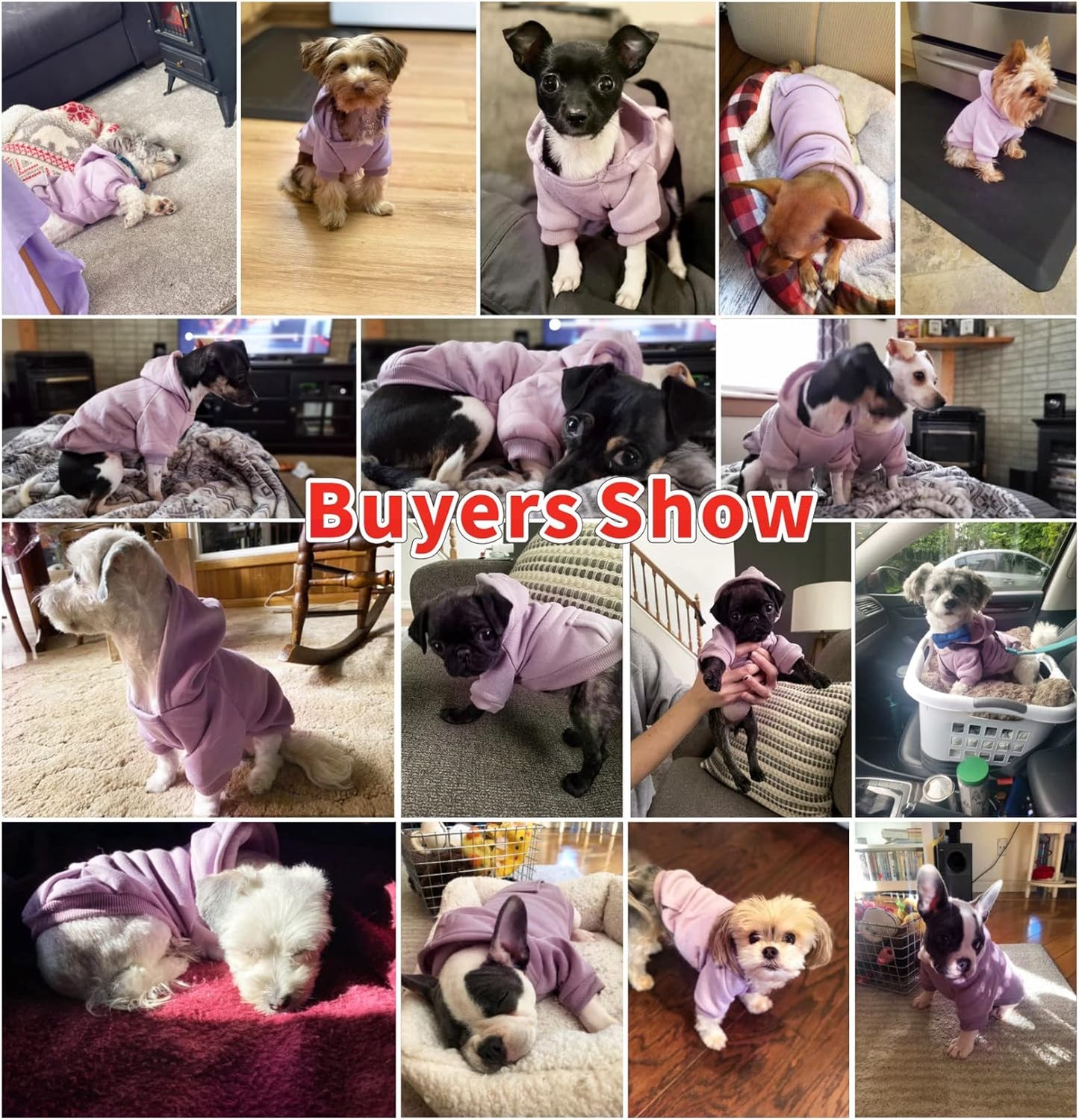 Pet Dog Hoodies Dog Clothes for Small Dogs Vest Chihuahua Clothes Warm Coat Jacket Autumn Puppy Outfits Cats Dogs Clothing(S, Purple)