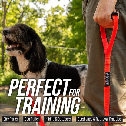 Extra Long Dog Leash - Long Lead Leash for Dog Training - Recall Leash for Dogs outside 30 Foot Black