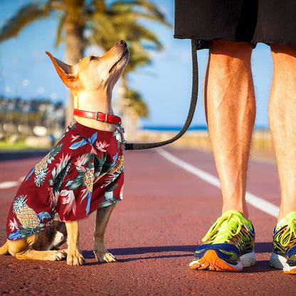 4 Pieces Pet Summer T-Shirts Hawaii Style Floral Dog Shirt Hawaiian Printed Pet T-Shirts Breathable Cool Clothes Beach Seaside Puppy Shirt Sweatshirt for Small Puppy(Cute Style, X-Large)