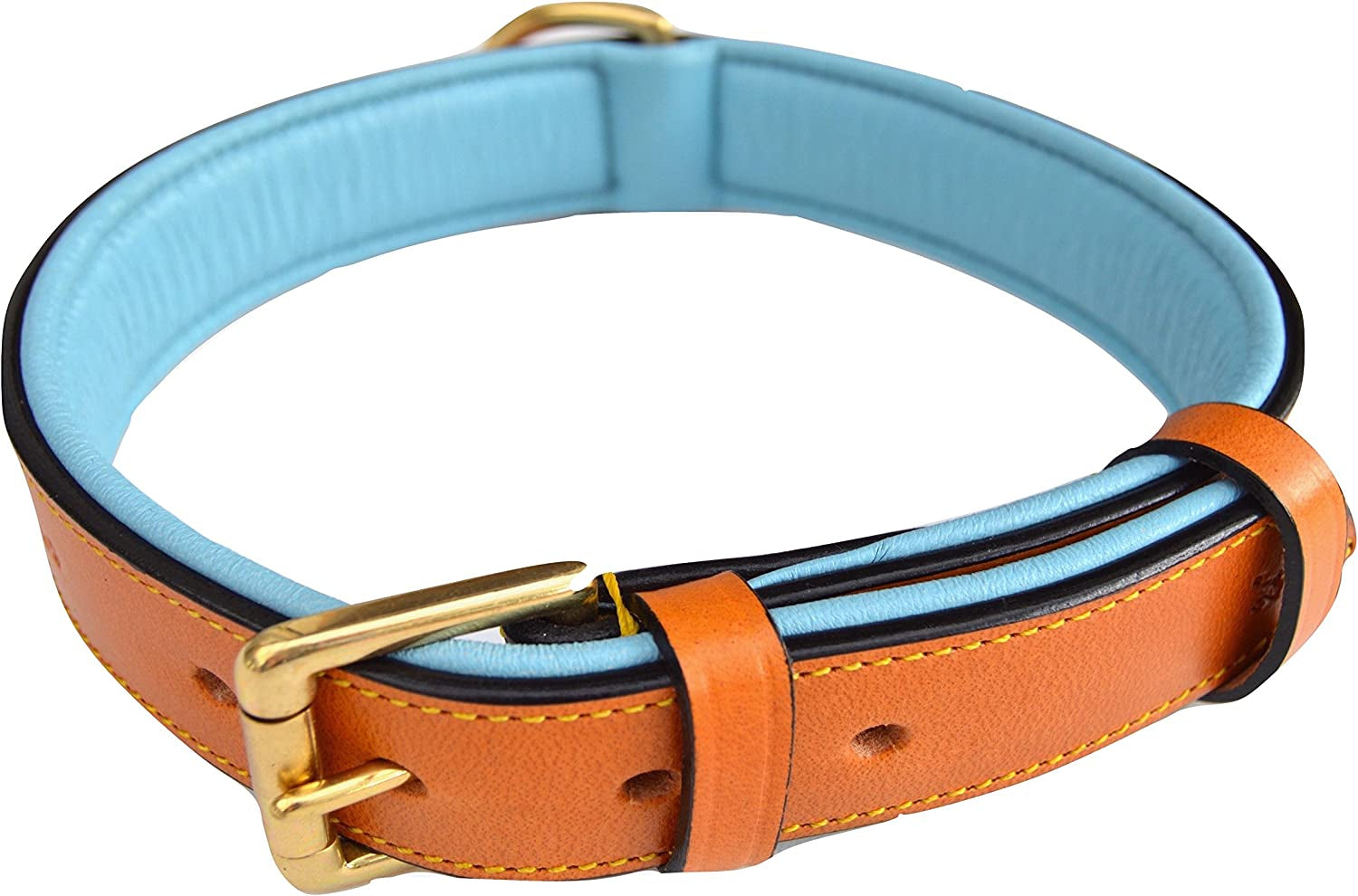 Padded Leather Dog Collar, Tan and Teal, Size Medium, 20" Long X 1" Wide, Neck Size 14.5" to 17.5" Inches