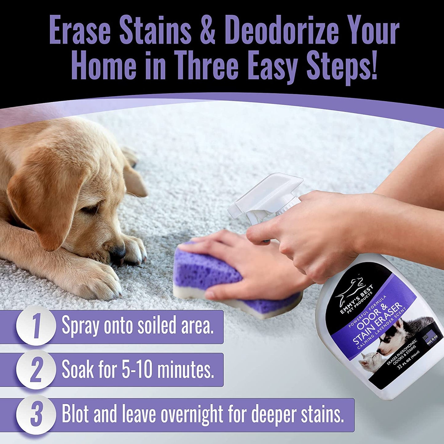 Odor & Stain Eraser - Made in the USA - Pet Odor Absorber and Room Deodorizer for Home Use - Odor Remover and Urine Odor Eliminator - Lavender Enzyme Carpet Cleaner