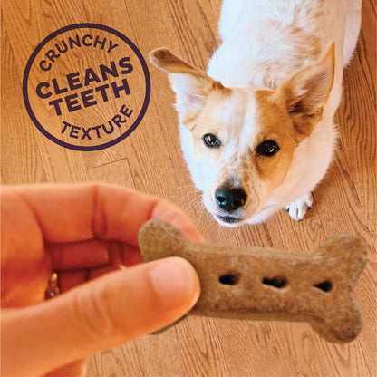 by Wellness Classic P-Nuttier Value Box Natural Dog Treats, Crunchy Oven-Baked Biscuits, Ideal for Training, Large Size, 6 Pound Box