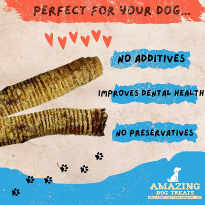 - 2-3 Inch Beef Trachea Rings (50 Pcs/Pck) - Premium Dog Chews- Great for Small Size Dogs - Excellent Source of Glucosamine and Chondroitin- Great for All Breeds