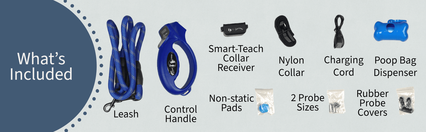 , the World'S First E-Leash for Training Dogs