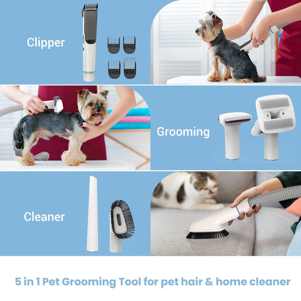 Powerful Suction Pet Grooming Vacuum with 5 Dog Grooming Tools for Pets Vacuum, for Shedding Grooming