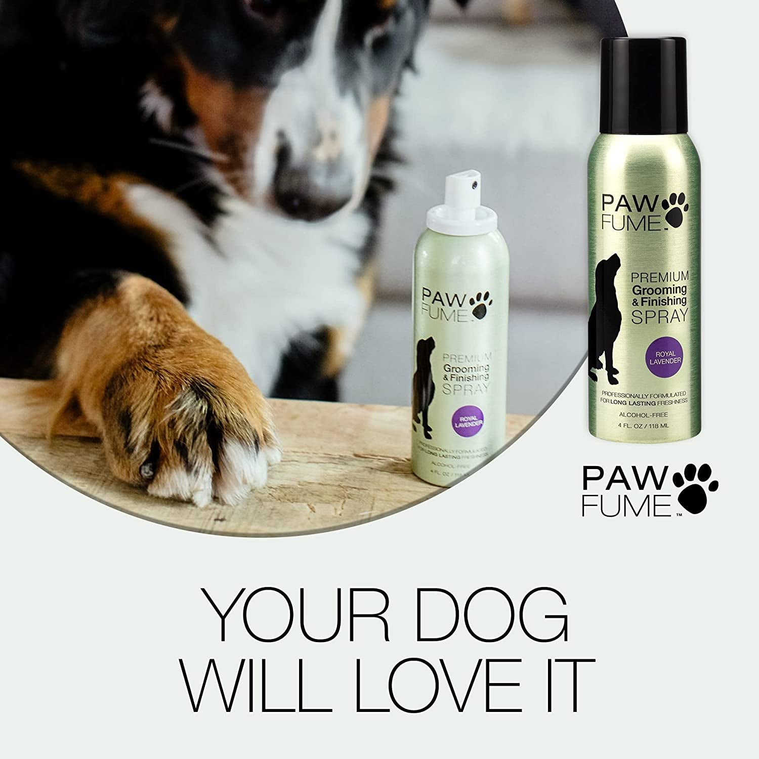 Grooming Spray Dog Spray Deodorizer Perfume for Dogs - Dog Cologne Spray Long Lasting Dog Sprays - Dog Perfume Spray Long Lasting after Bath- Dog Deodorizing Spray (Lavender)