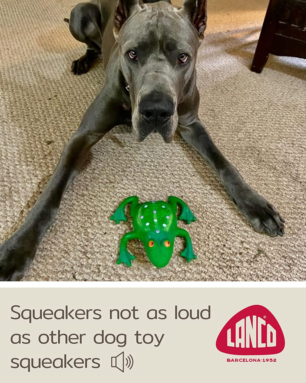 Large Squeaky Frog Dog Toys. 100% Natural Rubber (Latex). Complies to Same Safety Standards as Children’S Toys. Soft & Squeaky. Best Dog Toy for Large Dog