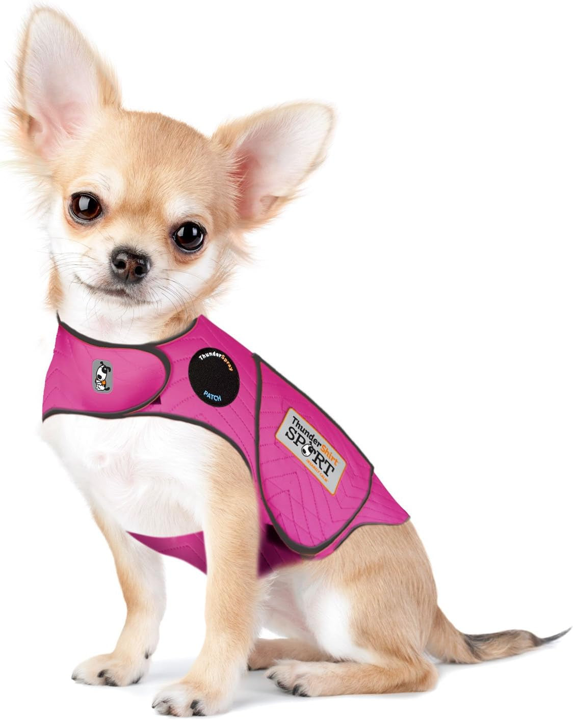 Dogs Clothing  Dog Anxiety Jacket, Fuchsia, X-Large US