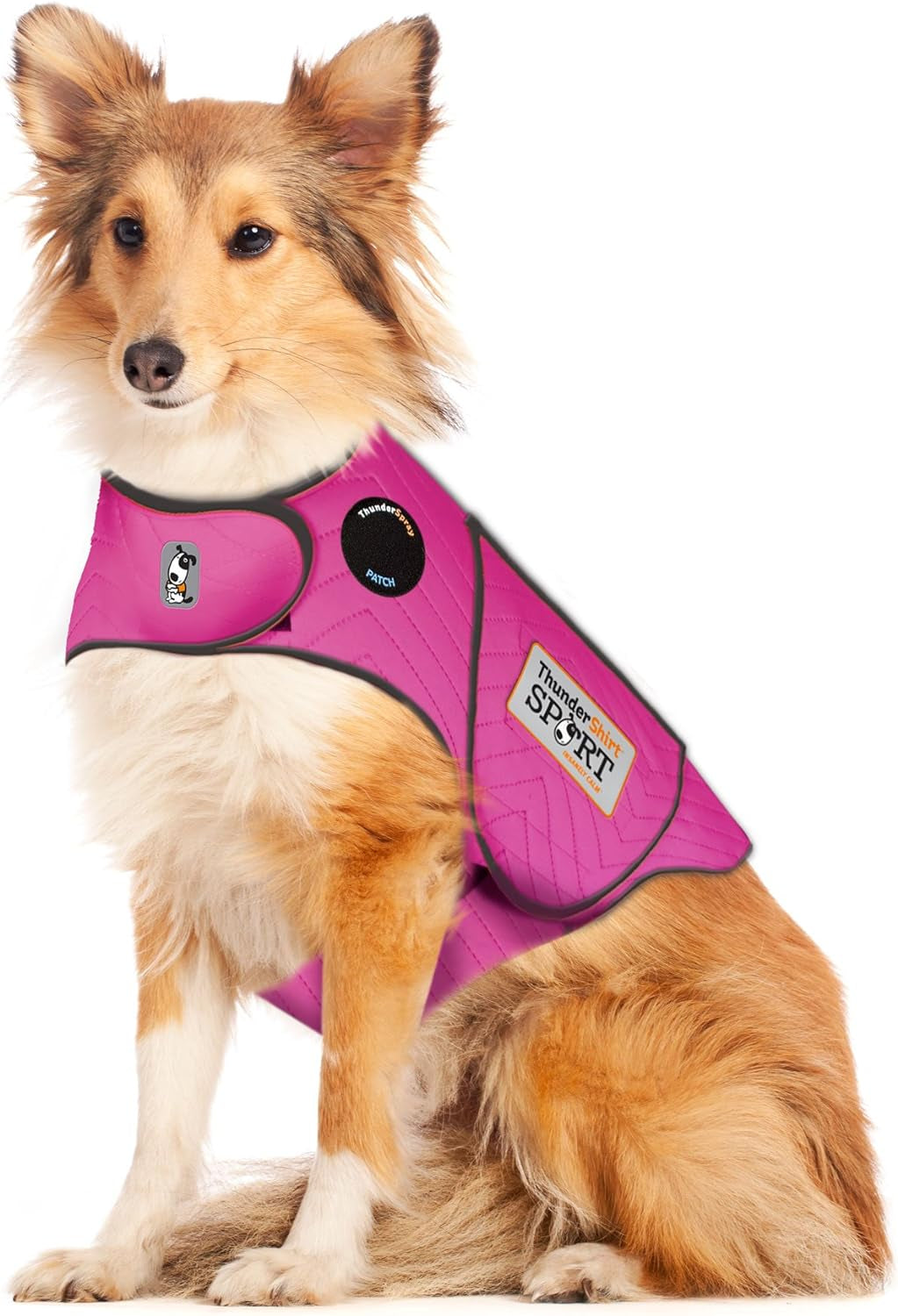 Dogs Clothing  Dog Anxiety Jacket, Fuchsia, X-Large US