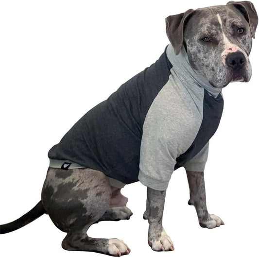 Big Dog/Pullover/Large Dog Shirt/Light Weight Shirt/Color Block Shirt/Summer Shirt (Large)