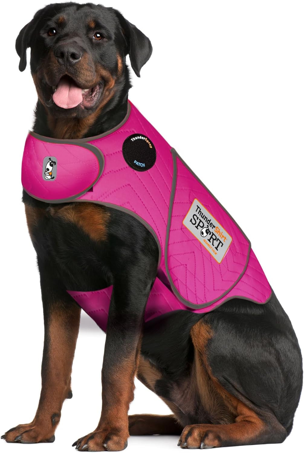 Dogs Clothing  Dog Anxiety Jacket, Fuchsia, X-Large US