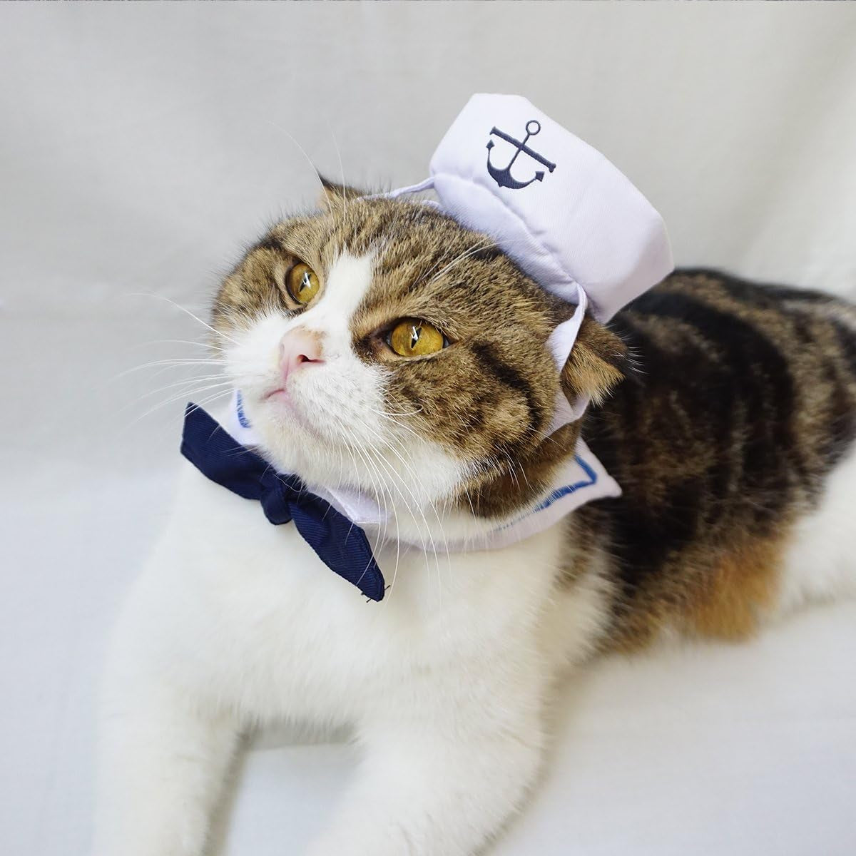 Cat Halloween Costumes Cat Sailor Costume Small Dog Navy Outfit with Tie Adjustable Captain Kitten Halloween Costume