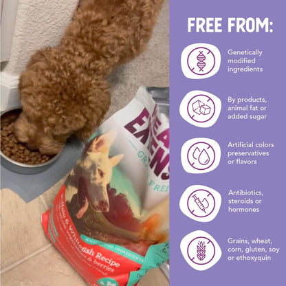 Dry Dog Food, Natural Food with Added Vitamins & Minerals, Suitable for All Puppies, Include Buffalo, Whitefish & Sweet Potato Recipe Recipe with Whole Vegetable & Berries (10 Pound)