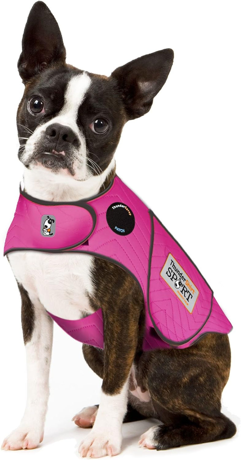 Dogs Clothing  Dog Anxiety Jacket, Fuchsia, X-Large US