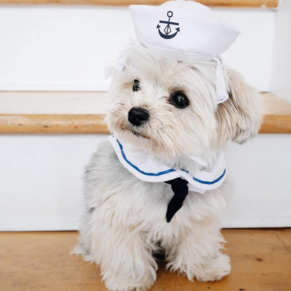 Cat Halloween Costumes Cat Sailor Costume Small Dog Navy Outfit with Tie Adjustable Captain Kitten Halloween Costume