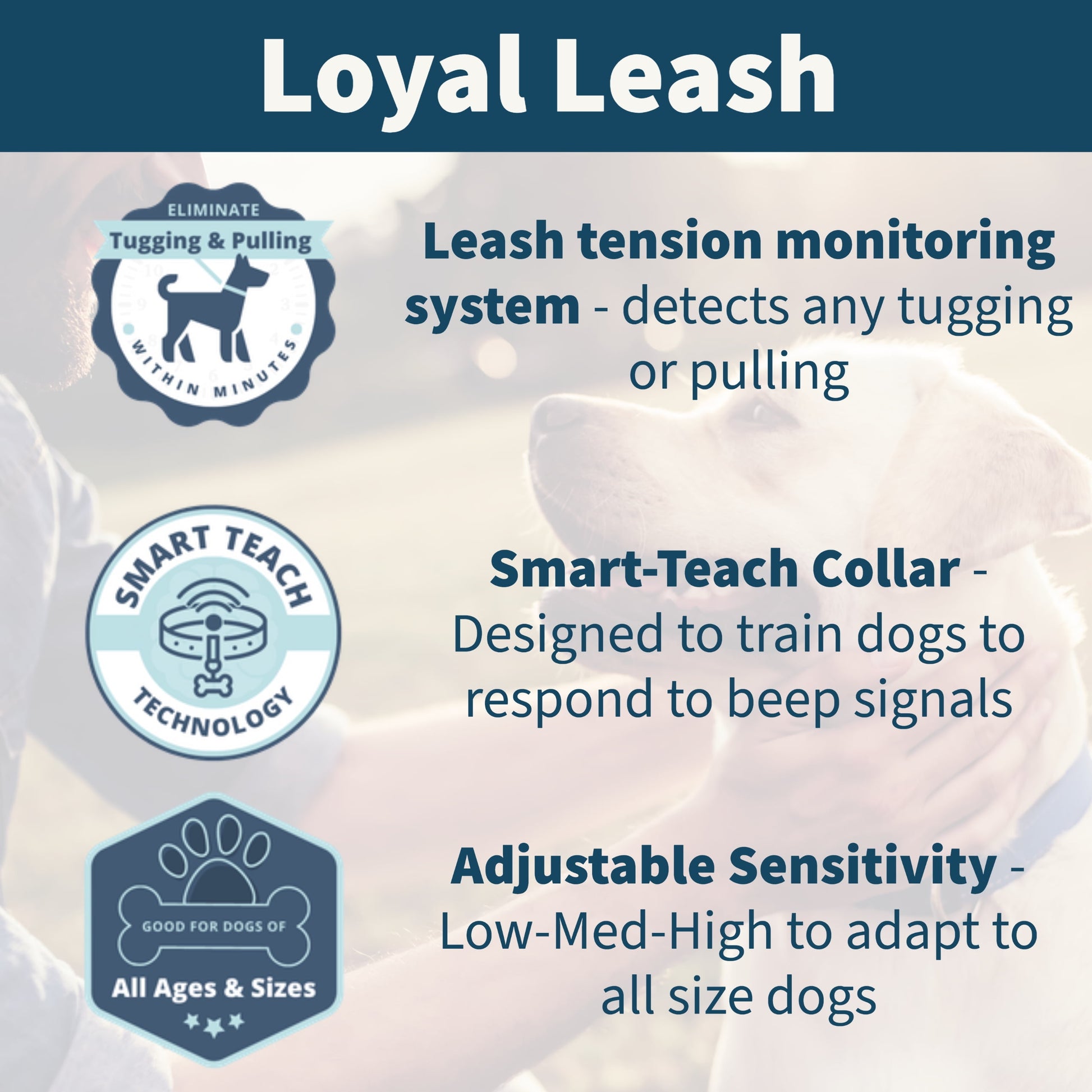 , the World'S First E-Leash for Training Dogs