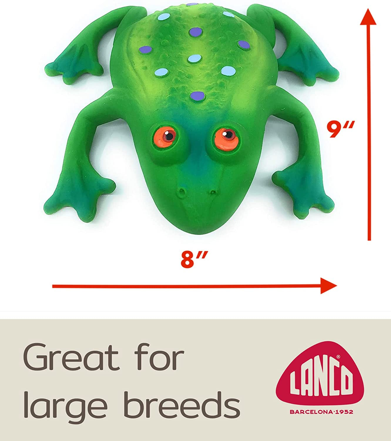 Large Squeaky Frog Dog Toys. 100% Natural Rubber (Latex). Complies to Same Safety Standards as Children’S Toys. Soft & Squeaky. Best Dog Toy for Large Dog