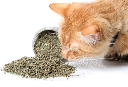 Organic Catnip by , Safe Premium Blend Perfect for Cats, Instilled with Maximized Potency Your Kitty Is Guaranteed to Go Crazy For! (1 Cup)