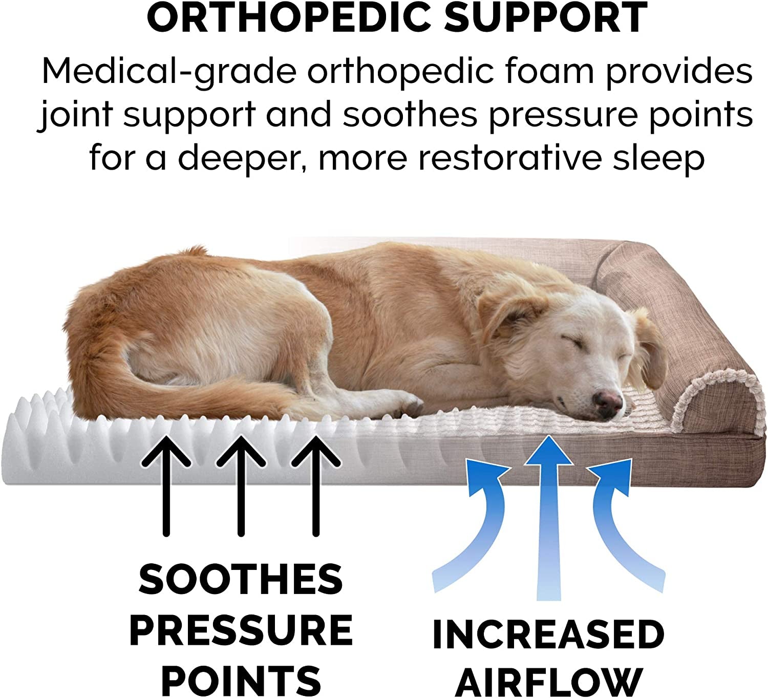 XL Orthopedic Dog Bed