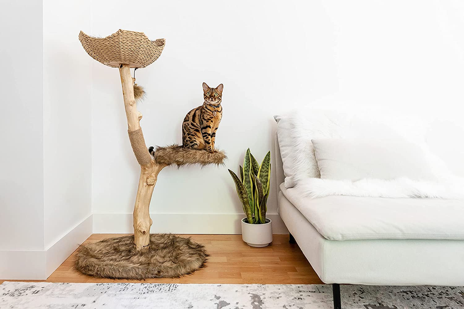 Wooden Cat Tree Tower, Modern Single Branch Cat Condo, Wood Cat Tree, Cat Climbing, Furniture for Cat, Cat Lover Gift, Cat Furniture,Cat Gift by  (Brown)