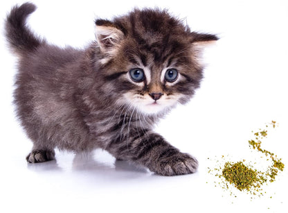 Organic Catnip by , Safe Premium Blend Perfect for Cats, Instilled with Maximized Potency Your Kitty Is Guaranteed to Go Crazy For! (1 Cup)