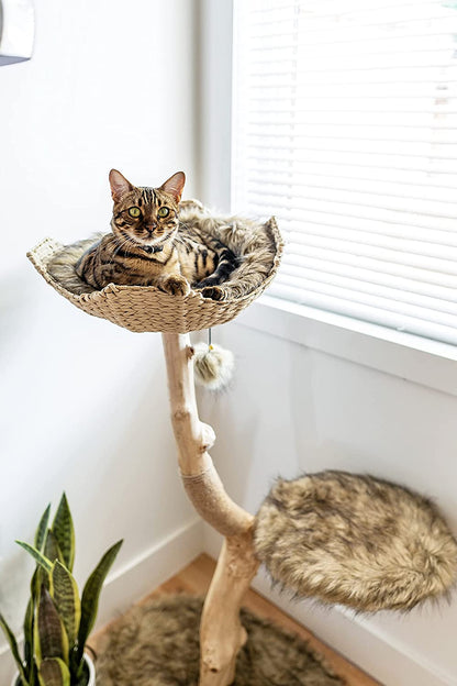 Wooden Cat Tree Tower, Modern Single Branch Cat Condo, Wood Cat Tree, Cat Climbing, Furniture for Cat, Cat Lover Gift, Cat Furniture,Cat Gift by  (Brown)