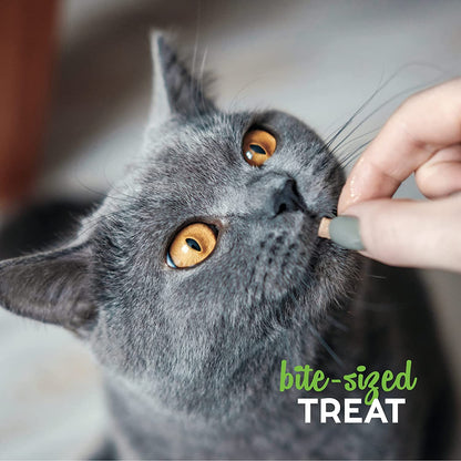 Buddy Biscuits Cat Treat