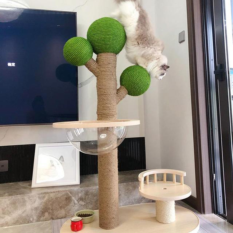 Cat Toy Cactus Cat Climbing Frame Green Cactus Prickly Pear Cat Scratcher Sisal Cat Scratching Post Cat Grinding Claw Toy