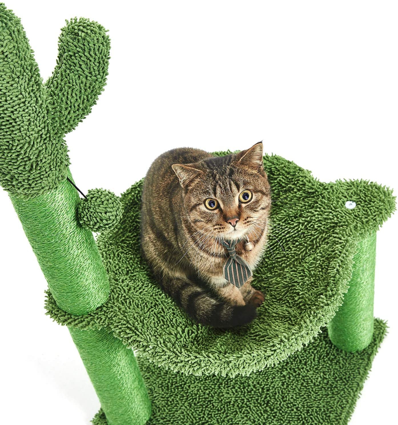 35 Inches Cactus Cat Tree with Hammock 