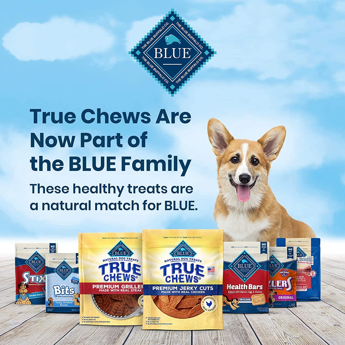 Blue Buffalo True Chews Jerky Cuts Natural Dog Treats, Chicken 4 Oz Bag