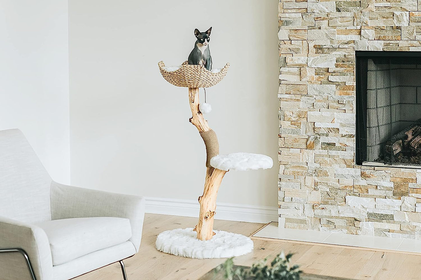 Wooden Cat Climbing Tree Tower, Modern Single Branch Cat Condo, Wood, Cat Lover Furniture Gift by  (Alpine White)