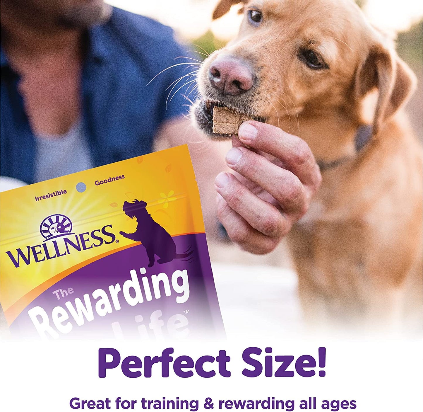 Wellness Rewarding Life Grain-Free Soft Dog Treats (Previously Wellbites), Made in USA with Natural Ingredients, Ideal for Training (Chicken & Lamb Recipe, 6-Ounce Bag)