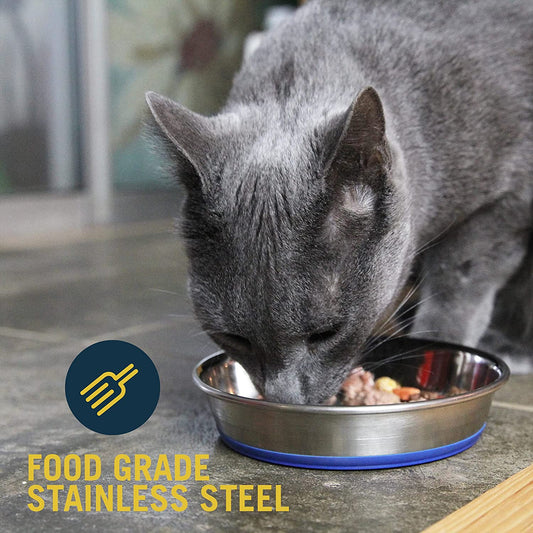 Stainless Steel Non-Slip Bowl - Holds up to 1 Cup 