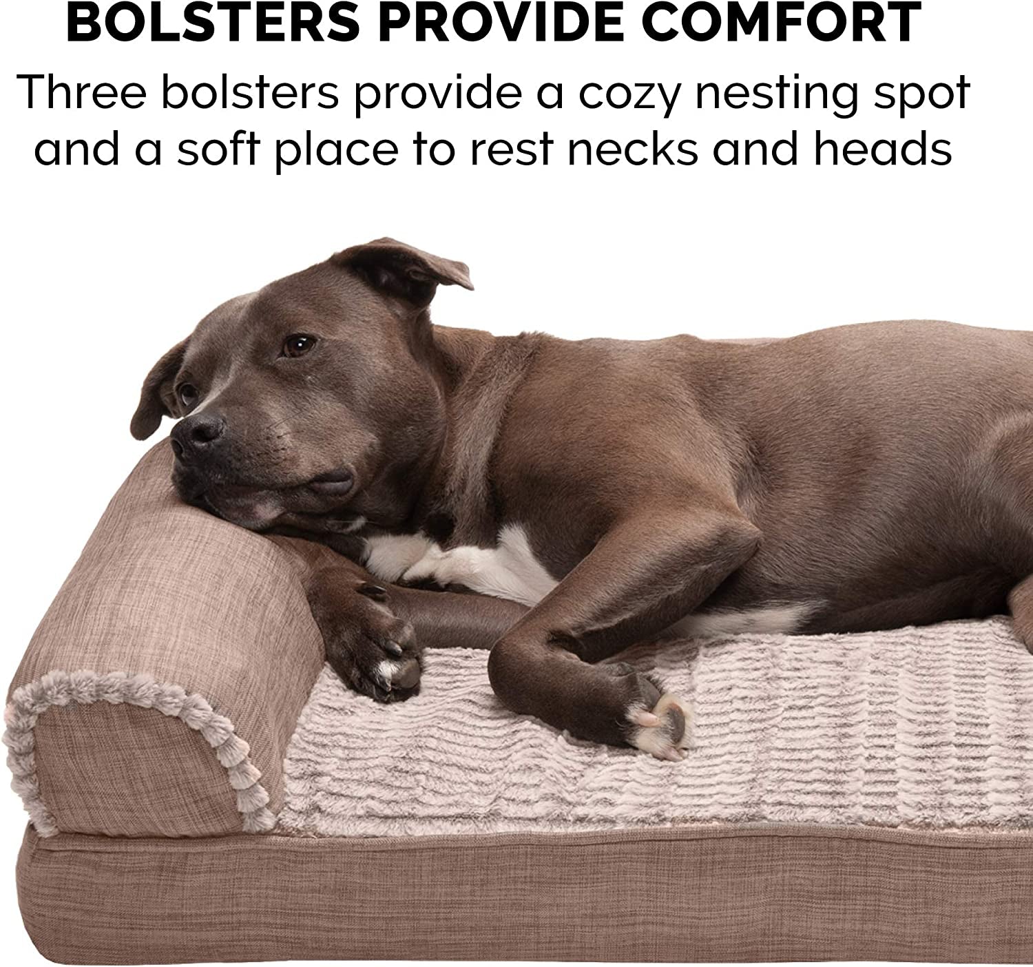 XL Orthopedic Dog Bed