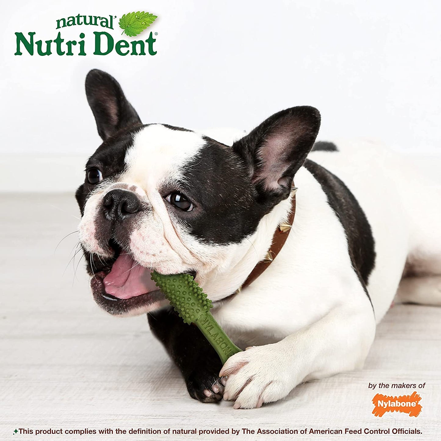 Nylabone Nutri Dent Natural Dental Fresh Breath Flavored Chew Treats Medium (40 Count)