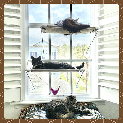 360° All around Cat Hammock Window Seat, Give Your Cat the Best View (L, Brown)