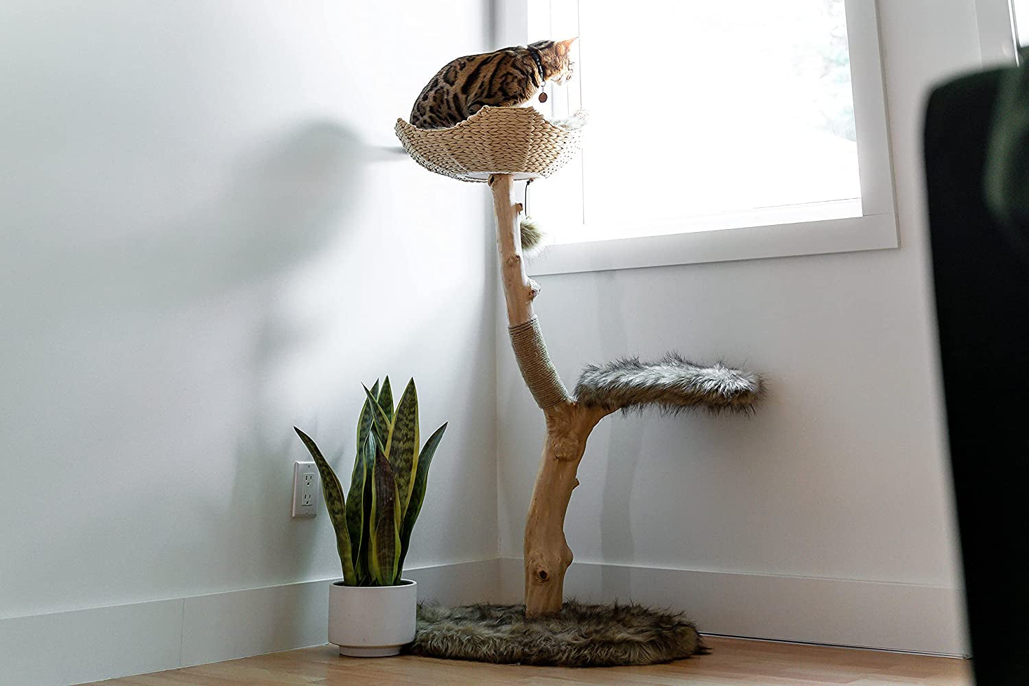 Wooden Cat Tree Tower, Modern Single Branch Cat Condo, Wood Cat Tree, Cat Climbing, Furniture for Cat, Cat Lover Gift, Cat Furniture,Cat Gift by  (Brown)