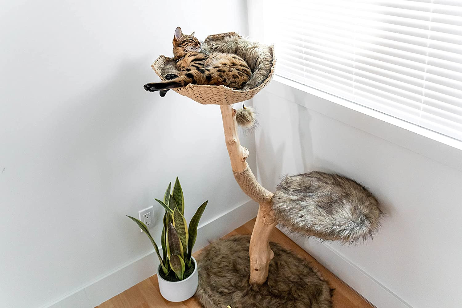 Wooden Cat Tree Tower, Modern Single Branch Cat Condo, Wood Cat Tree, Cat Climbing, Furniture for Cat, Cat Lover Gift, Cat Furniture,Cat Gift by  (Brown)